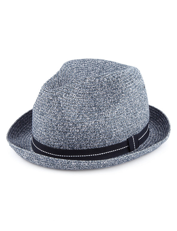 Wide Brim Trilby Hat Image 1 of 1