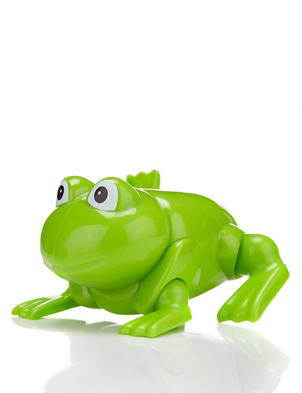 Wind Up Frog Toy Image 1 of 2