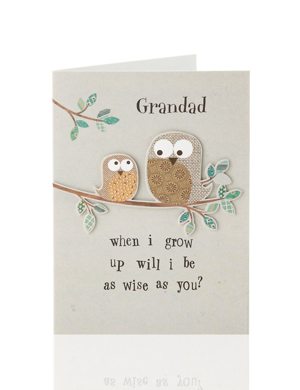 Wise Owls Grandad Birthday Card Image 1 of 2