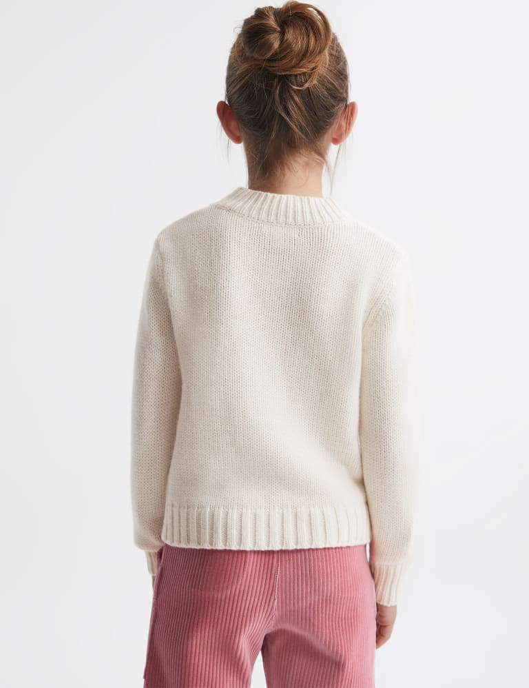 Marks and clearance spencer robin jumper