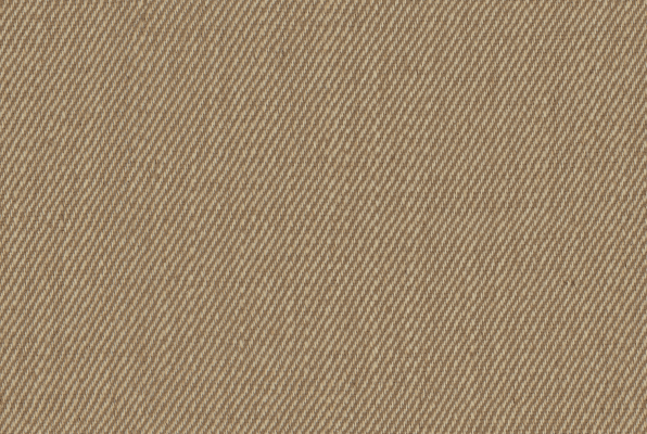 Woven Twill Image 1 of 1