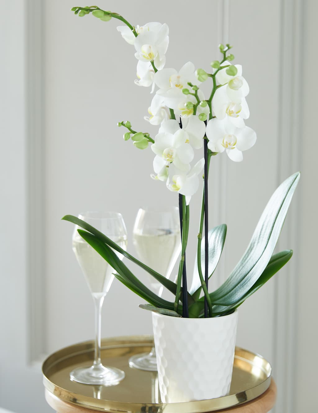 You're so lovely Orchid Gift Bag 1 of 3