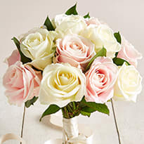 Pink and white roses