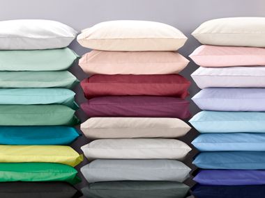 Egyptian cotton pillow cases in different colours